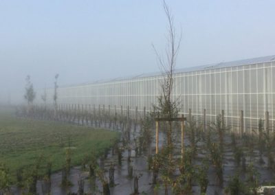 serres horticoles à tomates l Keteland Architecteurs